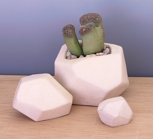 Boulder Planters